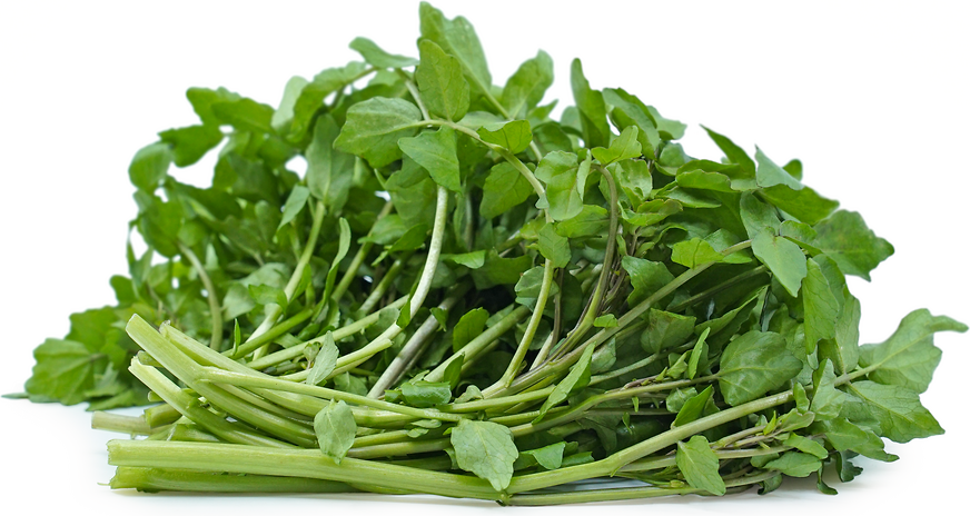 Watercress 1kg