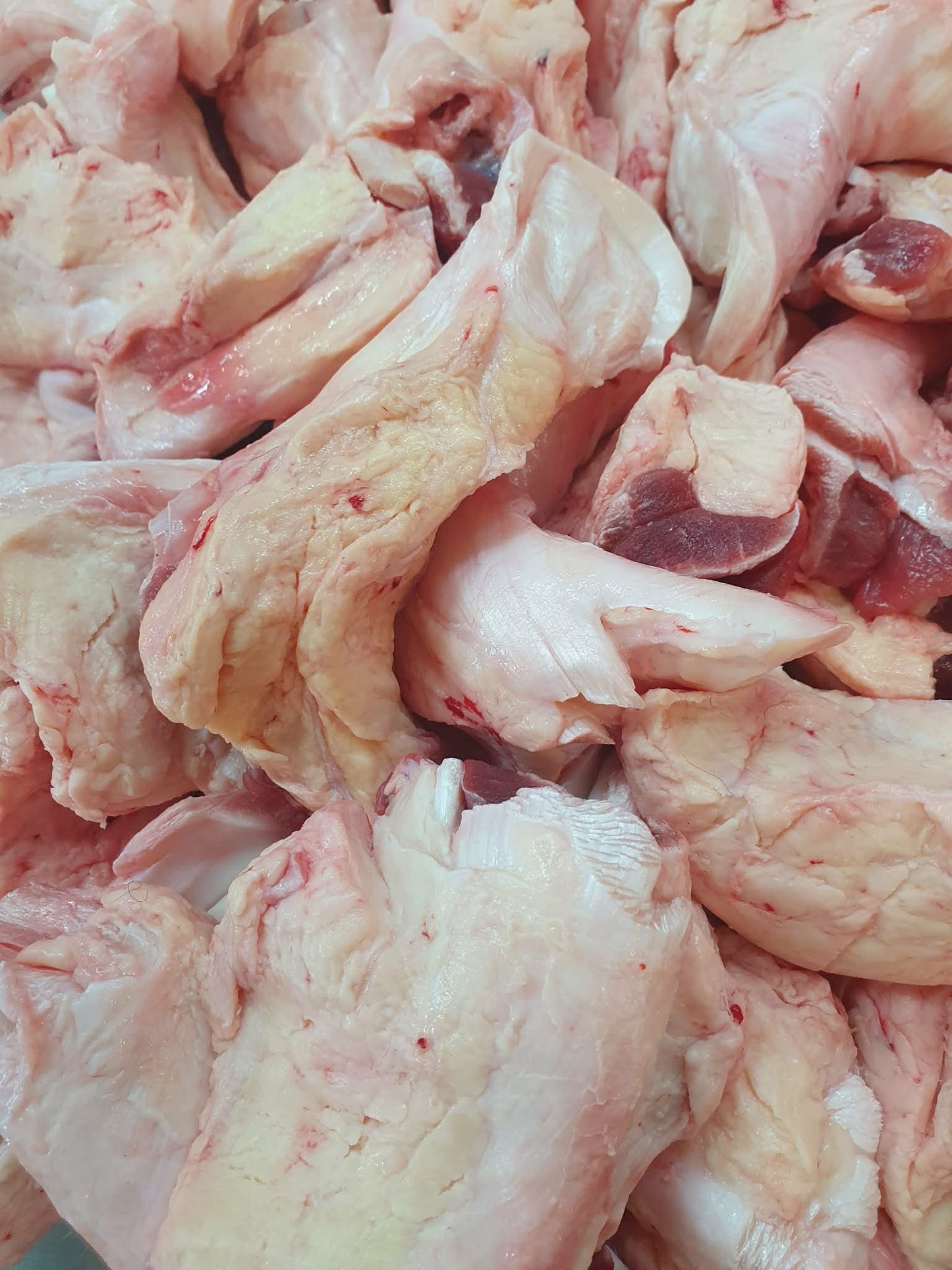 Beef Tendons